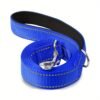 royal-blue