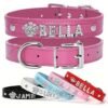 Personalized Dog Collar - Faux Leather Puppy Cat ID Collars - with Rhinestone Heart Star Shaped - Dog Accessory for Small Medium And Large Dogs