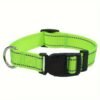 fluorescent-green