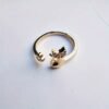 cat-golden-ring