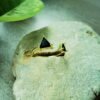 triangle