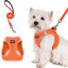 Step-In Dog Harness And Leash Set, All-Weather Breathable Mesh, Reflective, Soft And Lightweight Pet Vest, Suitable for Small Dogs, Puppies, Without Battery - Orange, L